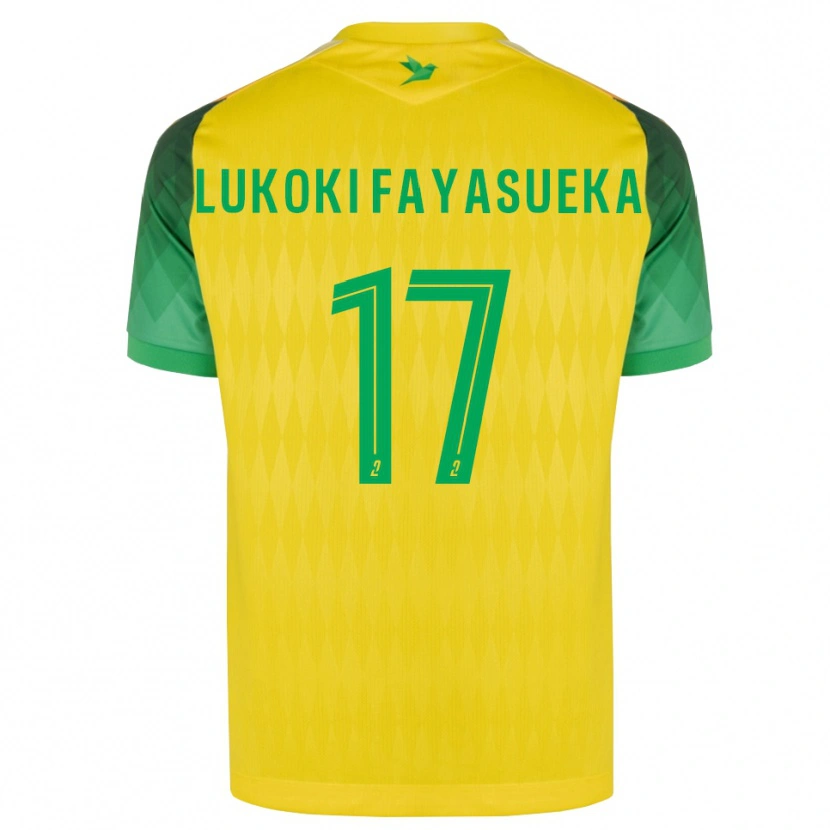 Danxen Dames Kévin Lukoki Fayasueka #17 Geel Groen Rood Thuisshirt Thuistenue 2026/27 T-Shirt