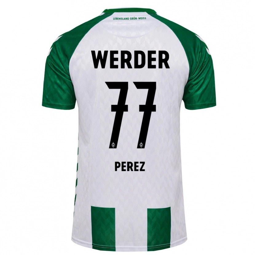 Danxen Heren Catalina Pérez Jaramillo #77 Groen Wit Thuisshirt Thuistenue 2026/27 T-Shirt