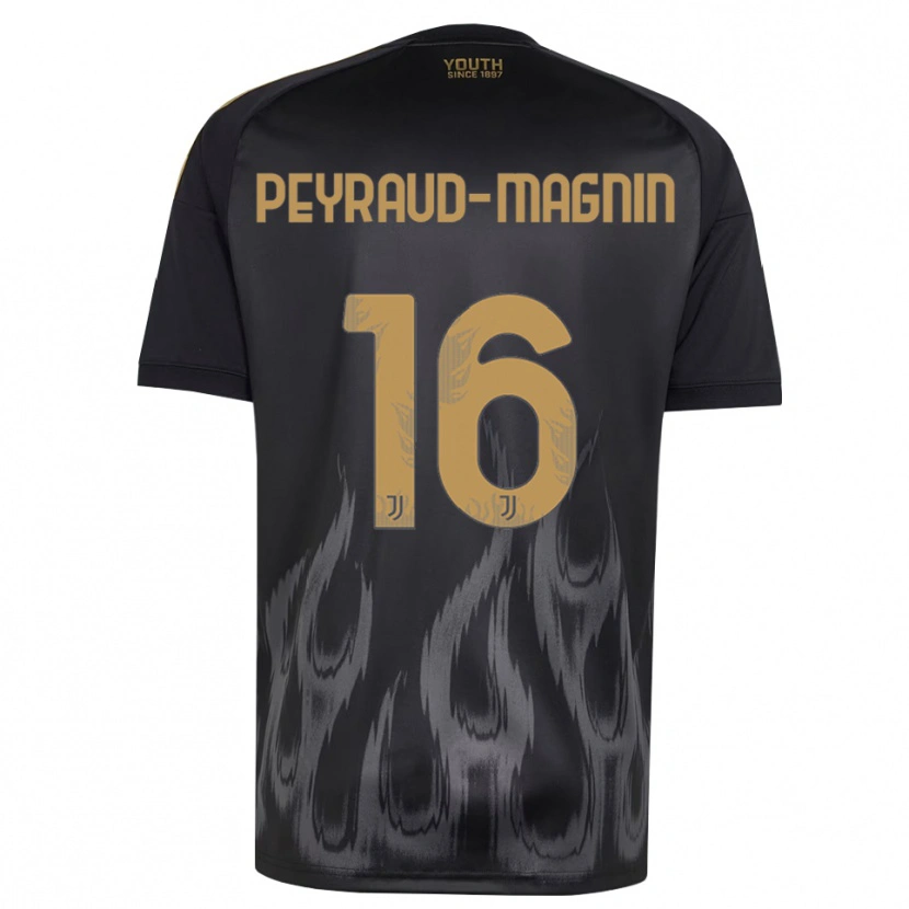 Danxen Heren Pauline Peyraud-Magnin #16 Zwart Bruin Thuisshirt Derde Tenue 2026/27 T-Shirt
