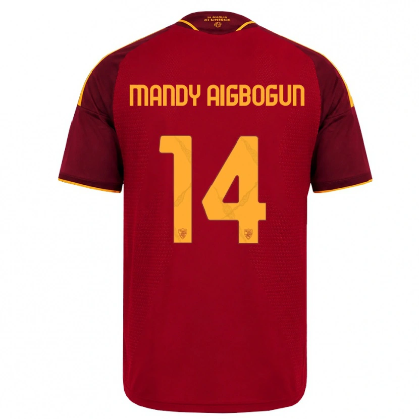 Danxen Dames Eseosa Mandy Aigbogun #14 Rood Gouden Geel Thuisshirt Thuistenue 2026/27 T-Shirt