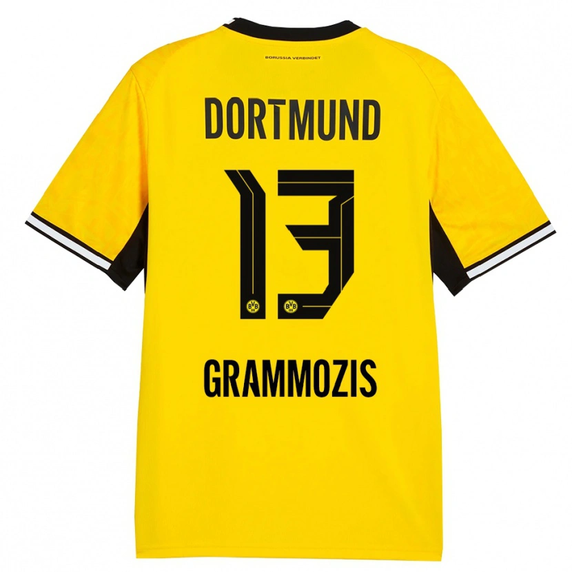 Danxen Heren Athanasios Grammozis #13 Geel Zwart Wit Thuisshirt Thuistenue 2026/27 T-Shirt
