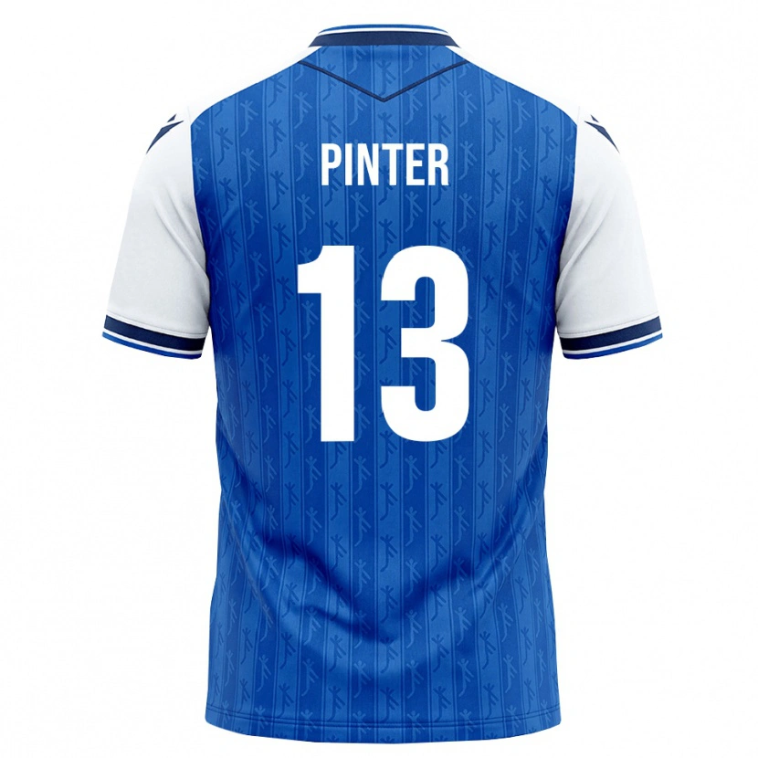 Danxen Heren Valentein Pinter #13 Koninklijk Blauw Wit Thuisshirt Thuistenue 2026/27 T-Shirt