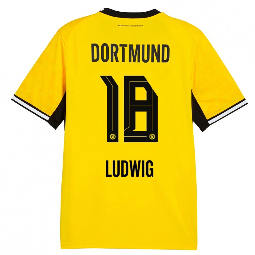Danxen Dames Michel Ludwig #18 Geel Zwart Wit Thuisshirt Thuistenue 2026/27 T-Shirt