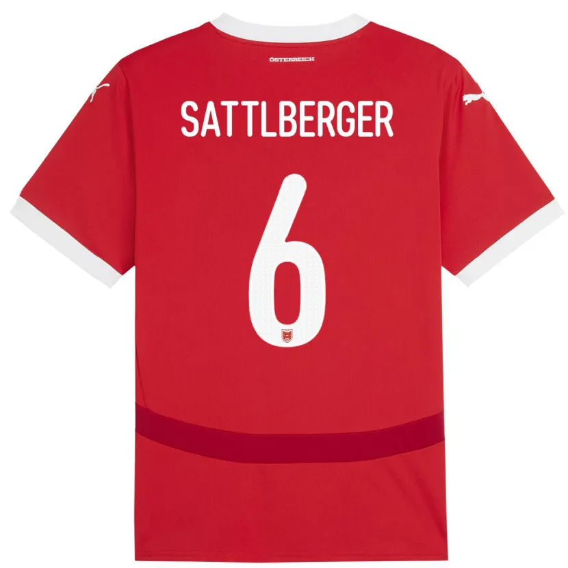 Danxen Heren Oostenrijk Nikolas Sattlberger #6 Rood Thuisshirt Thuistenue 24-26 T-Shirt