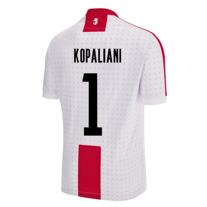 Danxen Heren Georgia Soso Kopaliani #1 Wit Thuisshirt Thuistenue 24-26 T-Shirt