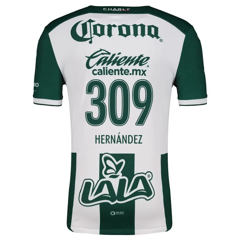 Danxen Heren Julio Hernández #309 Groen Wit Thuisshirt Thuistenue 2024/25 T-Shirt