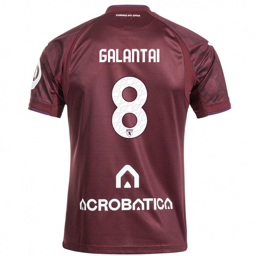 Danxen Heren Tamás Galántai #8 Kastanjebruin Wit Thuisshirt Thuistenue 2024/25 T-Shirt