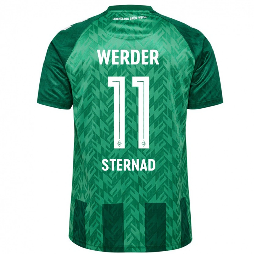 Danxen Heren Maja Sternad #11 Groen Thuisshirt Thuistenue 2024/25 T-Shirt