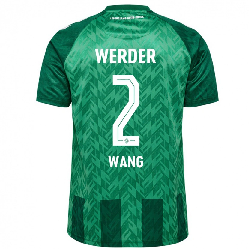 Danxen Heren Bowen Wang #2 Groen Thuisshirt Thuistenue 2024/25 T-Shirt