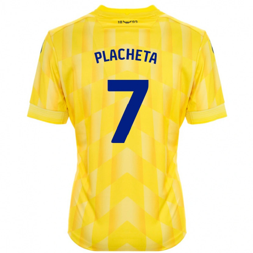 Danxen Heren Przemyslaw Placheta #7 Geel Thuisshirt Thuistenue 2024/25 T-Shirt
